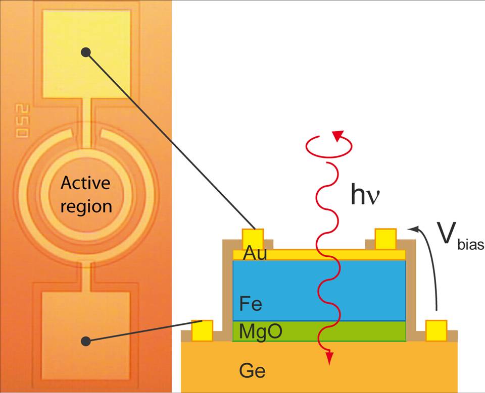 Operation of the Ge-based spin photodiode