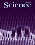 Scaling Hetero-Epitaxy from Layers to 
Three-Dimensional Crystals